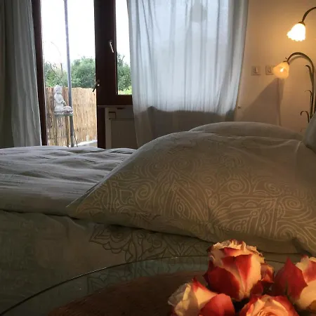 Ruhige Beletage דירה