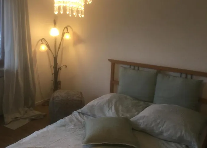 Ruhige Beletage 公寓 *